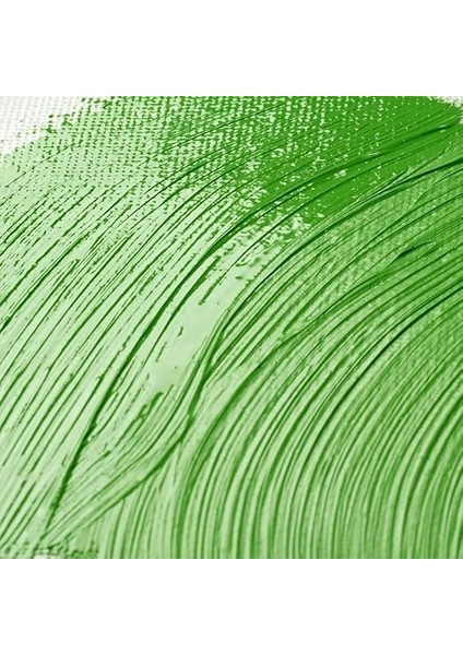 &amp; Newton Artists' Parlak Vernik 400ML fiyatları