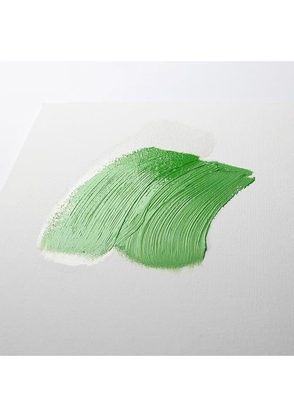 &amp; Newton Artists' Parlak Vernik 400ML modelleri