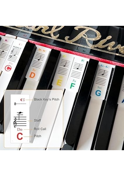 Müzik Teorisi Poster Seti, Piyano Klavyesi ve Nota Sistemi Kılavuzu ve Piyano Klavyesi Notaları Için Renkli Etiketler (Labels And Theory Poster) modelleri