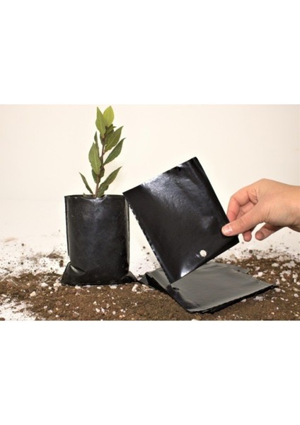 Fide Poşeti 11X13 cm 20 Adet Fide Torbası Fidan Poşeti Fidan Torbası