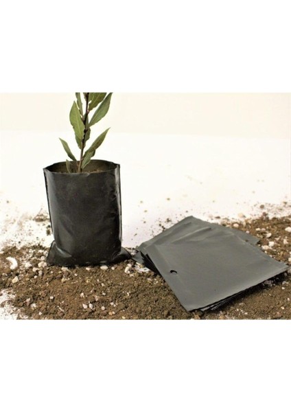 Fide Poşeti 11X13 cm 20 Adet Fide Torbası Fidan Poşeti Fidan Torbası modelleri