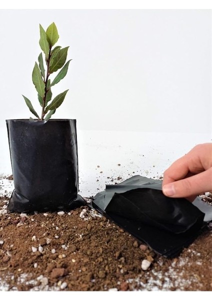 Fide Poşeti 11X13 cm 20 Adet Fide Torbası Fidan Poşeti Fidan Torbası fırsatları