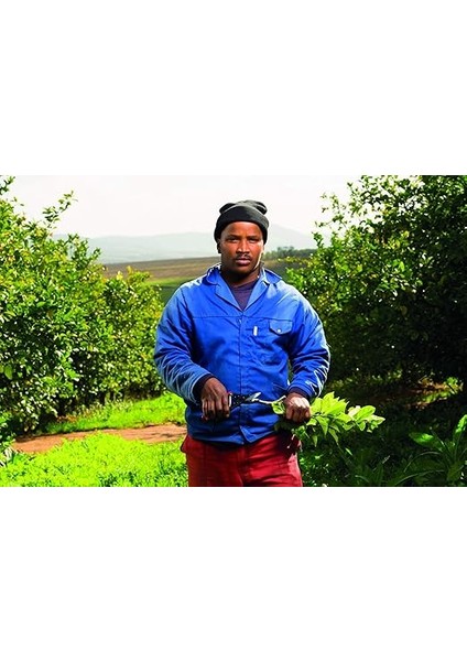 5 Budama Makası Bypass Bıçak Tipi 22,5 cm fiyatları