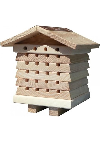 World Solitary Arı Kovanı