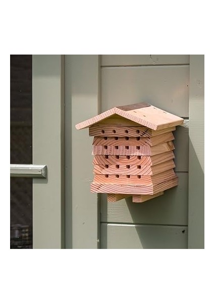 World Solitary Arı Kovanı fiyatları