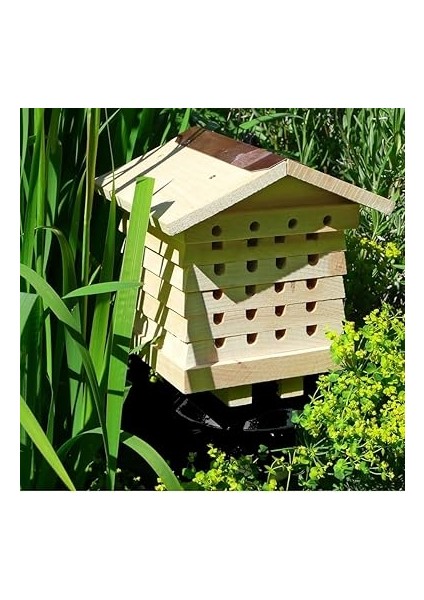 World Solitary Arı Kovanı fırsatları