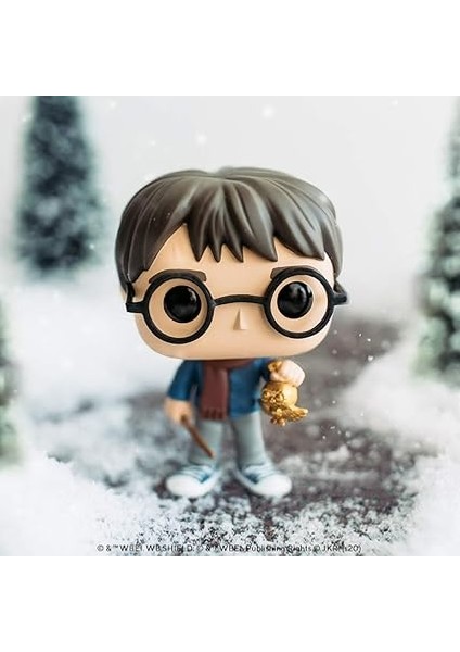 Pop: Harry Potter fiyatları