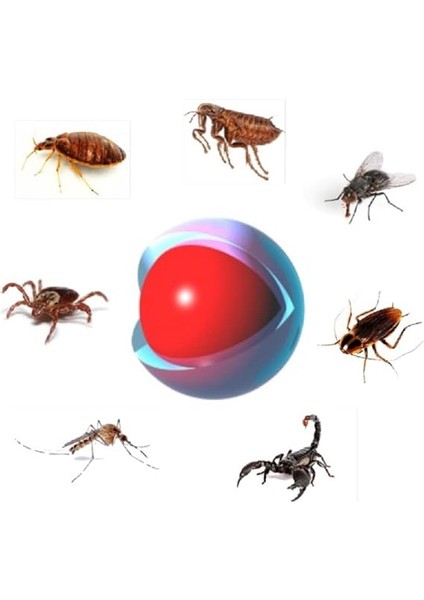 Tetracon Cs 50 ml Sinek Tahta Kurusu Pire Akrep Haşere Ilacı fiyatları