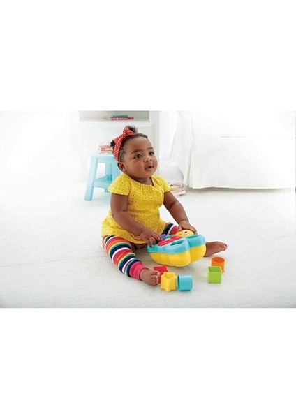 Şekil Eşleştirme Arkadaşı Kelebek Fisher-Price Şekil Eşleştirme Arkadaşı Kelebek, 6 Bloklu, Şekil Eşleştirme Oyunu CDC22 CDC22 fiyatları