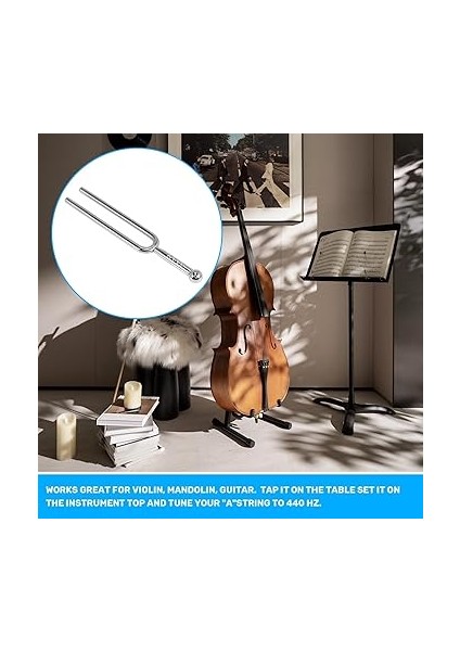 A Diapason 440 Hz Yumuşak Kılıf fiyatları