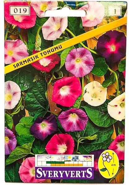 Çiçekli Sarmaşık Tohumu