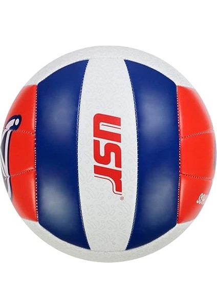 Voleybol Topu modelleri