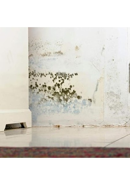 Flora Nem Alıcı 200 G 3'lü Paket fiyatları