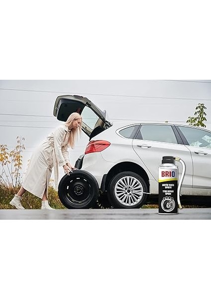 Lastik Tamir Spreyi 400 ml modelleri