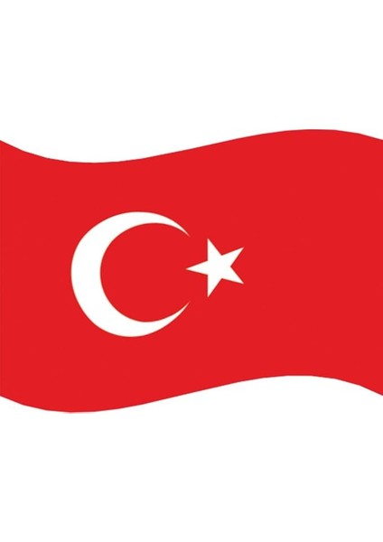 Bayrak 300X450 cm Türk Bayrağı Alpaka KUMAŞ(T09)