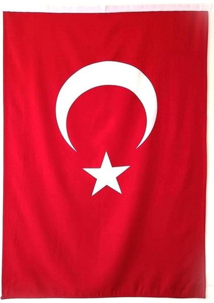 Bayrak Türk Bayrağı 400X600 cm Raşel Kumaş Aplike Dikiş fiyatları