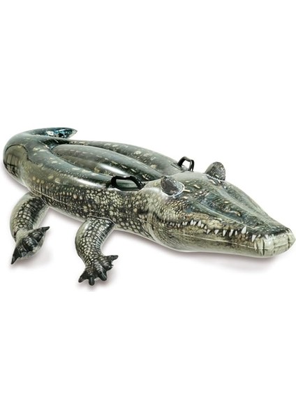 Gerçekçi Timsah Binici 170X86 cm 57551