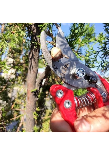 Pro Budama Makası Bağ Makası Bahçe Makası indirimleri