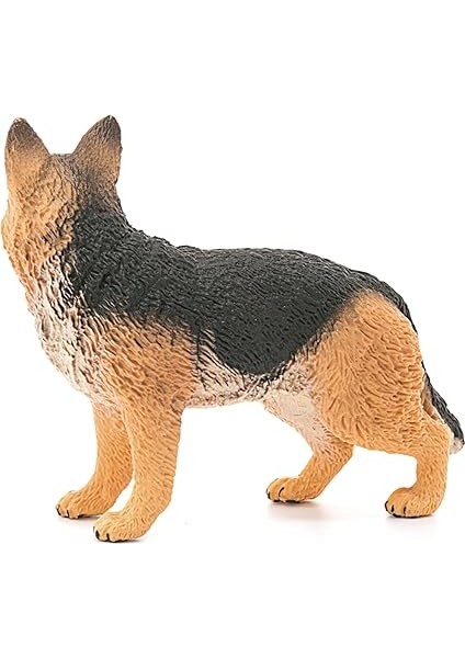 World-Alman Kurdu indirimleri