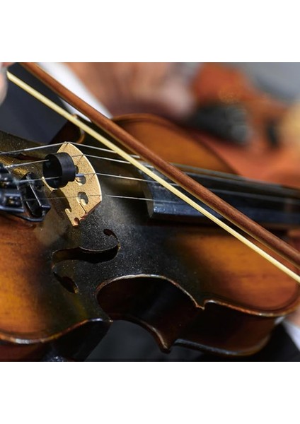 Köprüsü Için Temizleme Bezi Seti, Şık Tasarım ve Dayanıklılık Için – Müzisyenler Için Ideal – Akçaağaç Ağacından Köprü