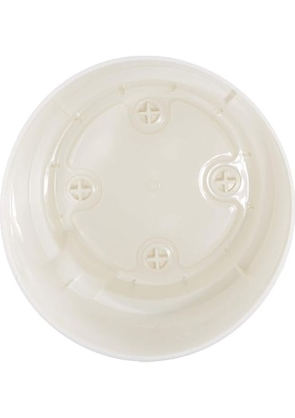 Begonya 21, 5 Litre fiyatları