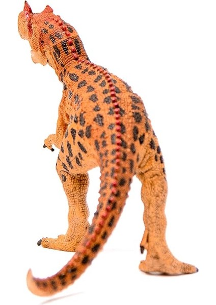 Ceratosaurus fırsatları