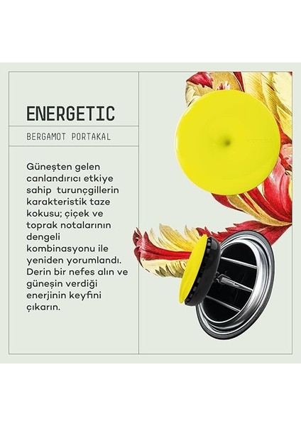 Spin Araba Klima Kokusu - Profesyonel Otomobil Kokusu | Bpa &amp; Sıvı Içermez | 90 Gün Etkili | Araç Parfümü (Energetıc) modelleri