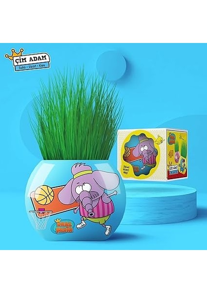 Kral Şakir Temalı Çim Adam 6'lı Set – Çocuklar Için Eğitici ve Eğlenceli Bitki Yetiştirme Kiti fırsatları