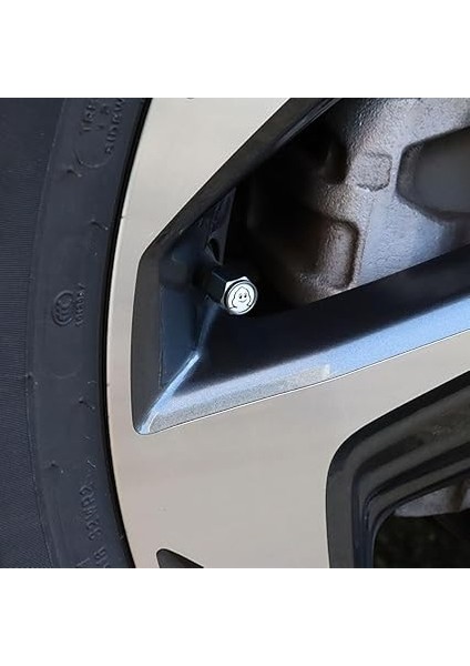 MC34273 Michelin Logolu Metal Universal Sibop Kapağı 4 Adet modelleri