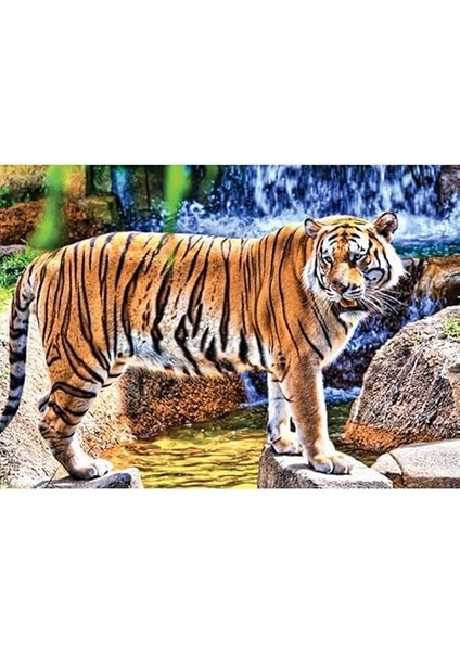 Puzzle 100 Parça Animal Planet Bengal Kaplanı fiyatları