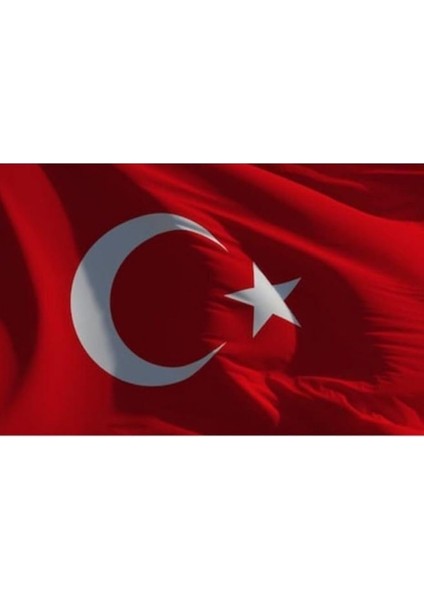 Türk Bayrağı Alpaka Kumaş Bayrak 70X105 cm 8691731020102 fiyatları