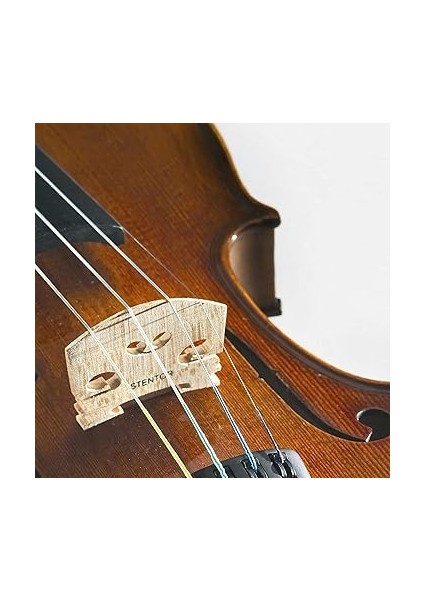 1500/A Student Iı Keman (4/4) modelleri