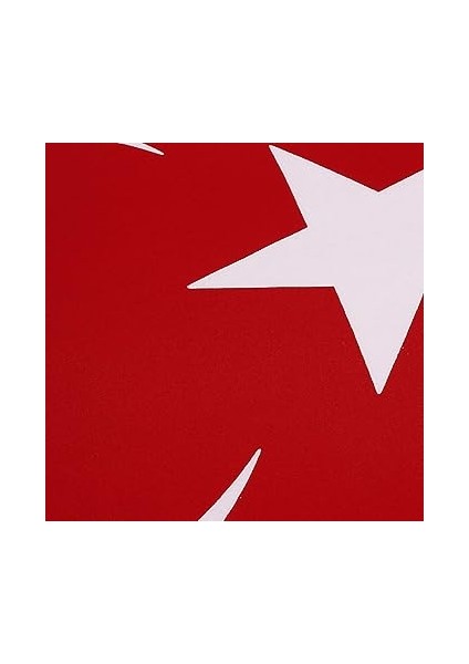 Bayrağı 100X150CM Bez BKT-108 fiyatları