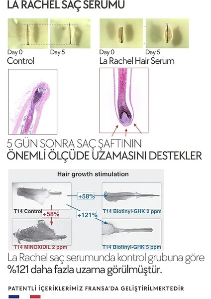 Dökülmesine Karşı Bitkisel Saç Serumu – Procapil + Biotin + Apigenin – Erkek ve Kadınlar Için Yeni Saç Oluşumunu Destekler – 50 ml indirimleri