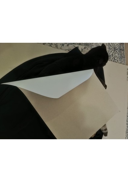 350 gr A4 – 5'li Paket Karton 21X29,7 A4 Ebadında 0,11 kg | A4 Baskı Kağıdı Sert Resim Kartonu indirimleri