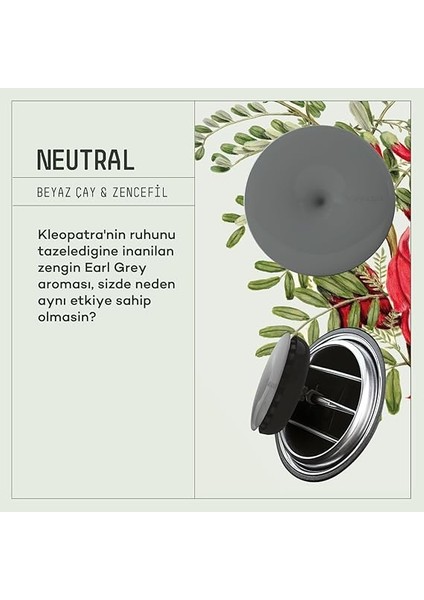 Spin Araba Klima Kokusu - Profesyonel Otomobil Kokusu | Bpa &amp; Sıvı Içermez | 90 Gün Etkili | Araç Parfümü 3'lü Set (Neutral &amp; Angelıc &amp; Relaxed) fiyatları