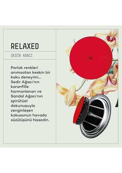 Spin Araba Klima Kokusu - Profesyonel Otomobil Kokusu | Bpa &amp; Sıvı Içermez | 90 Gün Etkili | Araç Parfümü 3'lü Set (Neutral &amp; Angelıc &amp; Relaxed) fırsatları