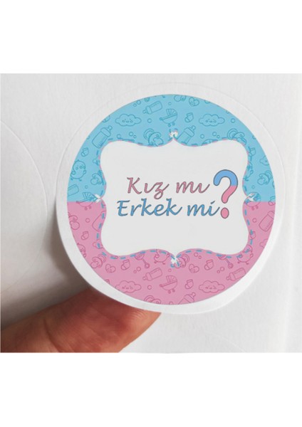 48 Adet 4 cm Pembe Mavi Kız Mı Erkek Mi Baskılı Mat Etiket Sticker - Baby Shower Partisi- 4