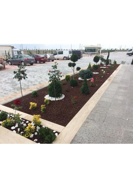 Kırmızı Pomza Taşı 15-25 mm 9 kg Volkanik Ponza Lav Taşı Ponza Kaktüs Sukulent Pomzası Tarım Pomzası fırsatları