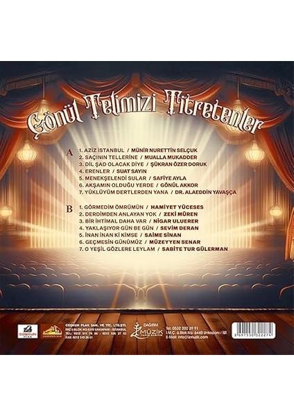 Sanatçılar Gönül Telimizi Titretenler Plak fiyatları