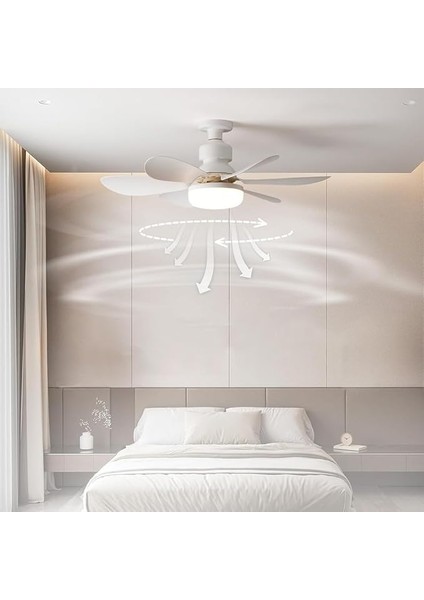Noıyb Tavan Vantilatörü Aydınlatmalı, 40W E26/27 LED Fan Lambası Uzaktan Kumandalı ve Ekstensor, Kısılabilir, 3 Rüzgar Hızı, Yeni 52CM Tavan Vantilatör Zamanlayıcı（3 Adet) fiyatları