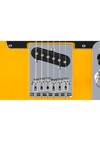 Standard Telecaster Butterscotch Blonde - Maple Elektro Gitar fırsatları