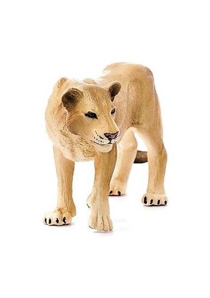 14825 - Löwin, Renkli fiyatları