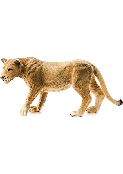 14825 - Löwin, Renkli modelleri