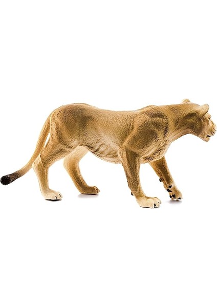 14825 - Löwin, Renkli fırsatları