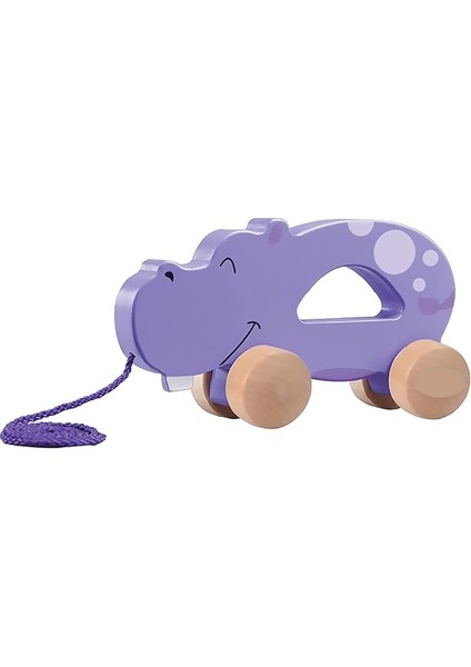 Learn With Play! Su Aygırı Araba