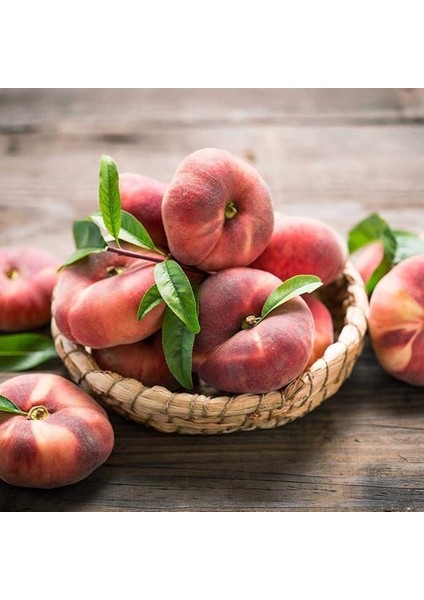 Tüplü Akıllı Ağaç Bol Verimli Tam Bodur Paraguaya Basık Şeftali Fidanı