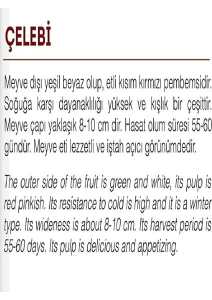 Tarım Yerli Doğal Beyaz-Kırmızı Turp Çelebi 500 Adet Tohum fiyatları