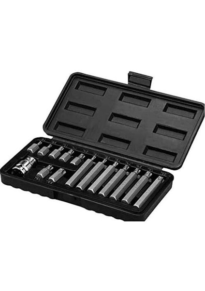 W 2243, Torx Bits Uç Seti 15 Parça, Gri, Siyah