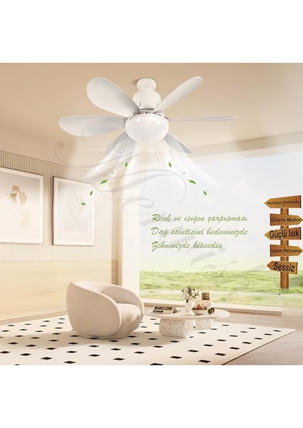 Vantilatörü LED Işık 3 Renk Işık Sıcaklığı Ayarlanabilir 3 Kademe Hız Modu Sessiz 52 cm Çap 6 Kanat Uzaktan Kumandalı Vantilatör (Beyaz) fiyatları
